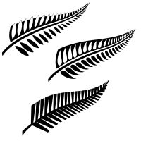 Maori fern tattoo photo