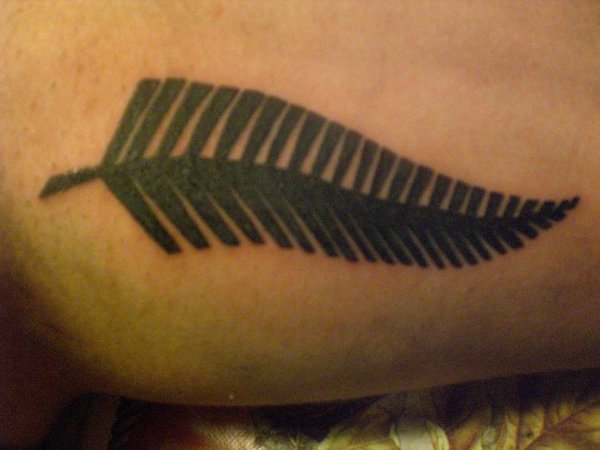 Alessandro - Silver fern tattoo