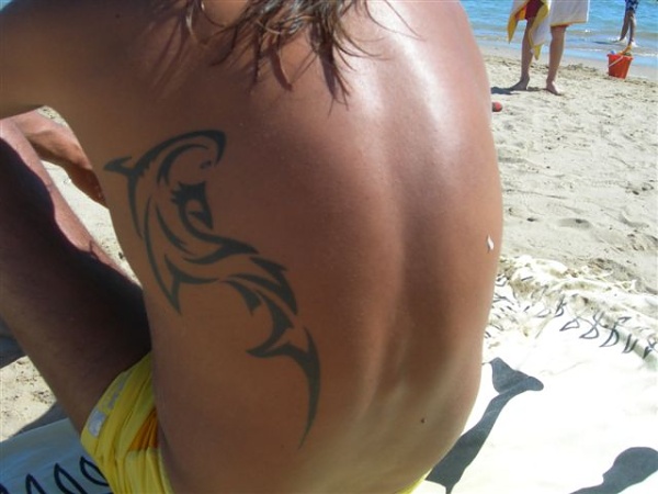 Alfonso - shark tattoo photo