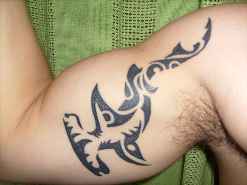 Edgard - Hammerhead shark tattoo