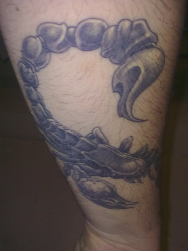 Eros - Scorpion tattoo