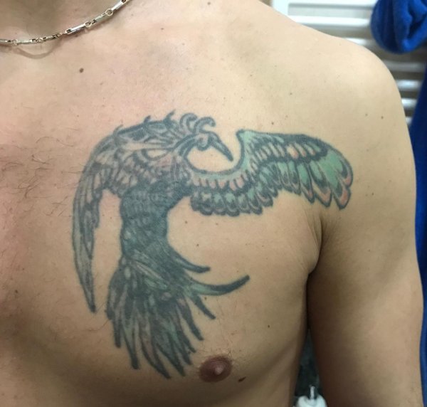 Fabio - Phoenix tattoo