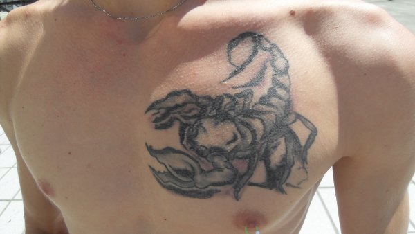 Fastlife - scorpion tattoo