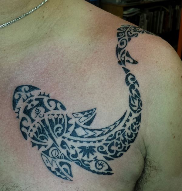 George - Warrior shark tattoo