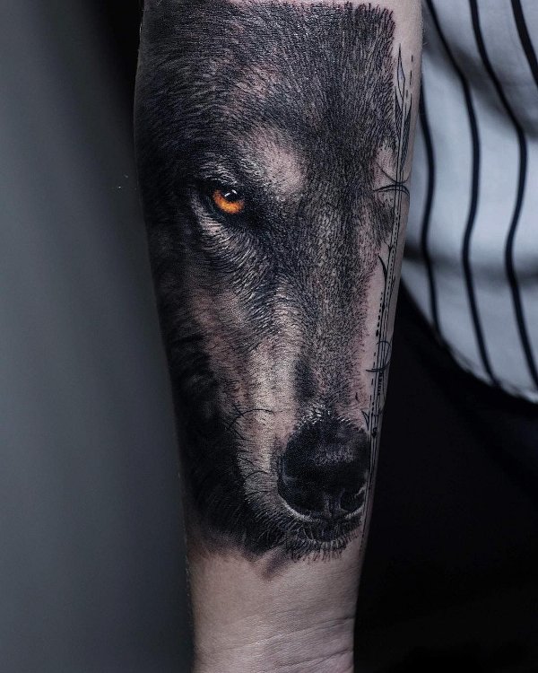 Guest - wolf head tattoo