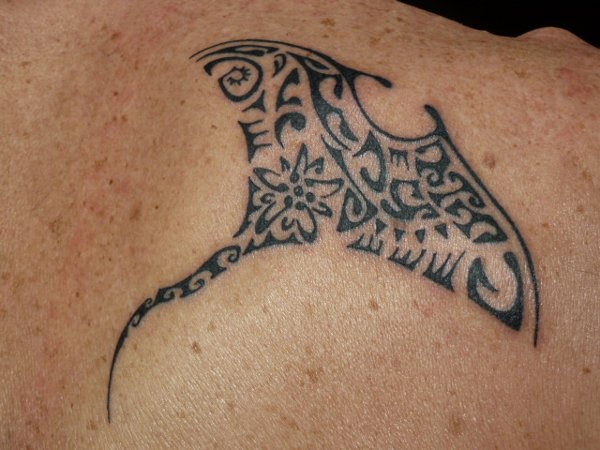 Mirko - Edelweiss manta tattoo