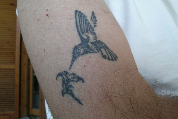 Paolo - Humming bird tattoo photo