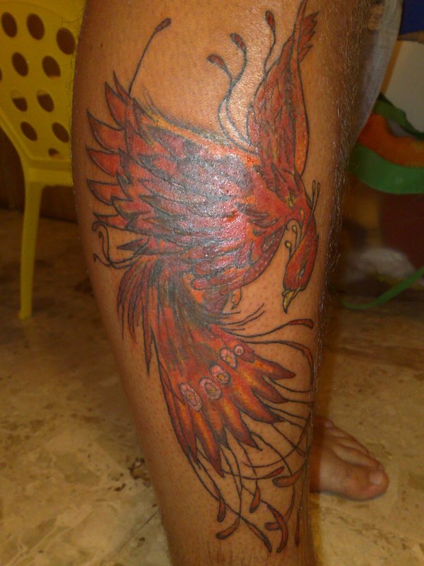 Tattoo H2O - Phoenix tattoo photo