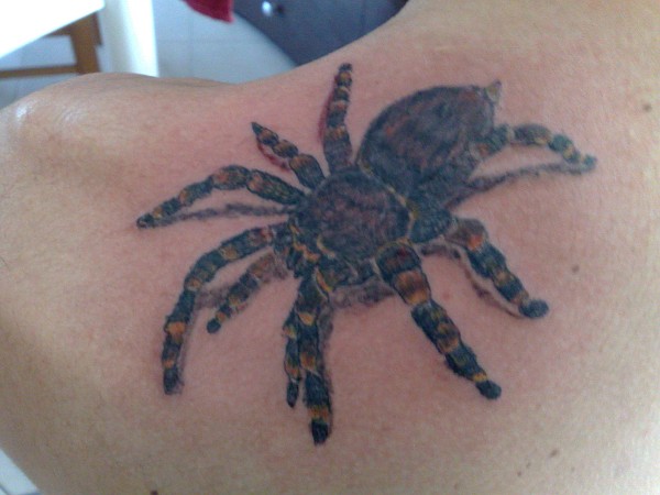 Tattoo H2O - Tarantula tattoo photo