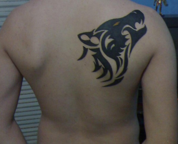 Jorge - Tribal wolf tattoo photo