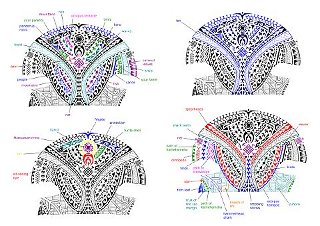 Every tattoo comes with a detailed description of all the elements composing it